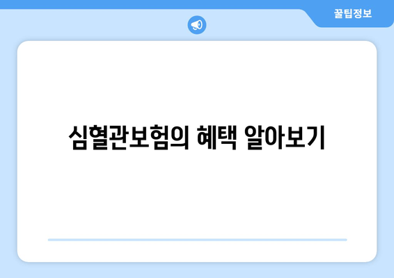 심혈관보험의 혜택 알아보기