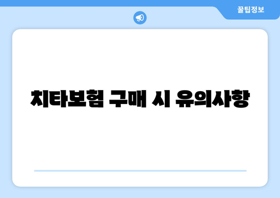 치타보험 구매 시 유의사항