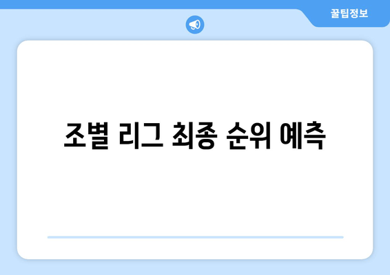 조별 리그 최종 순위 예측