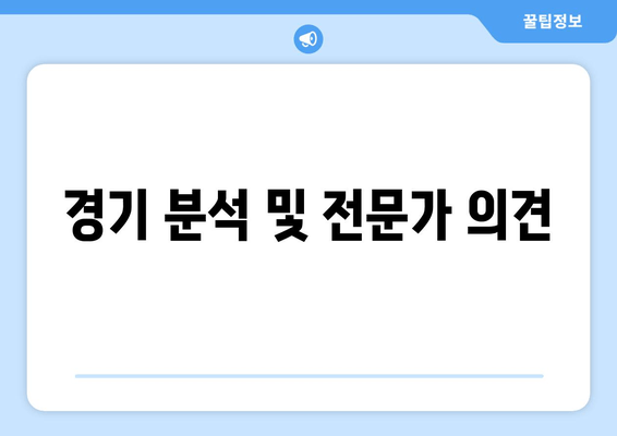 경기 분석 및 전문가 의견