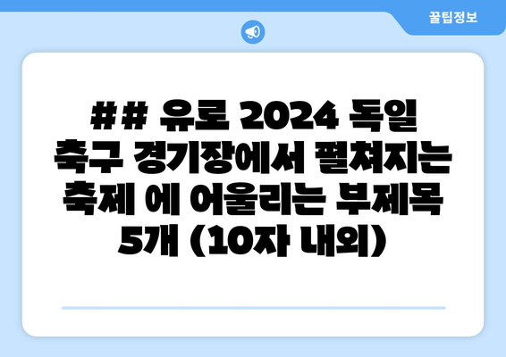 ## 유로 2024 독일 축구 경기장에서 펼쳐지는 축제 에 어울리는 부제목 5개 (10자 내외)