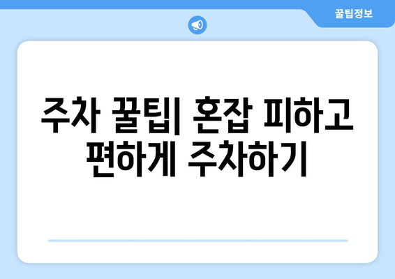 2024 동아 마라톤 주차 꿀팁| 혼잡 속에서 편리하게 주차하기 | 동아 마라톤, 주차 정보, 주차 꿀팁, 서울 잠실 주차