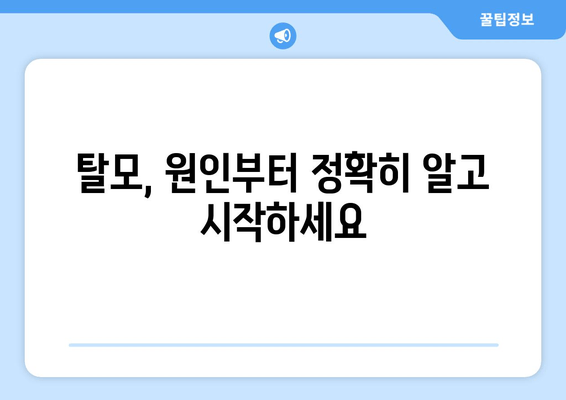 탈모 예방과 치료| 실용적인 가이드 | 탈모 원인부터 관리법까지 완벽 해설