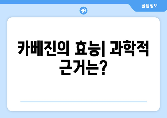 일본 카베진의 놀라운 효능| 증거 기반 정보와 함께 알아보는 효과 및 주의사항 | 카베진, 효능, 부작용, 복용법, 건강 정보