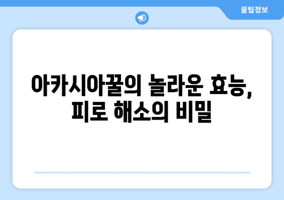 아카시아꿀의 놀라운 효능| 천연 피로 회복제로써의 효과 | 피로 해소, 면역력 강화, 수면 개선