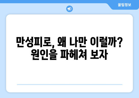 만성피로증후군| 심한 피로와 졸음, 이제 그만! | 원인 분석부터 관리법까지 |