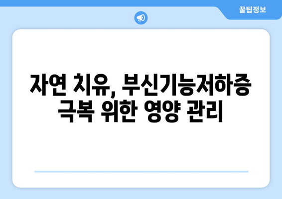 부신기능저하증 증상 완화와 피로 회복 위한 핵심 가이드 | 부신, 피로, 건강, 자가진단, 관리