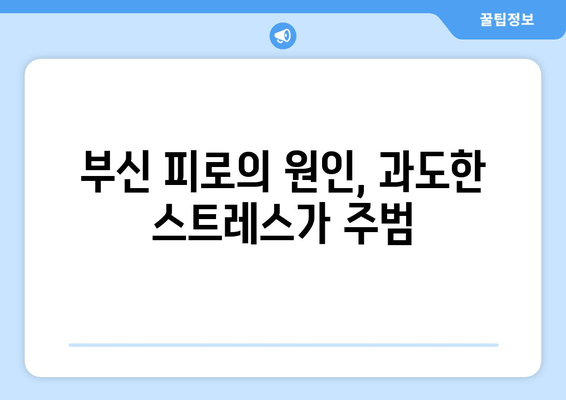 부신 피로 증상, 당신의 건강을 위협하는 신호 | 부신 피로, 증상, 위험성, 원인, 예방, 치료