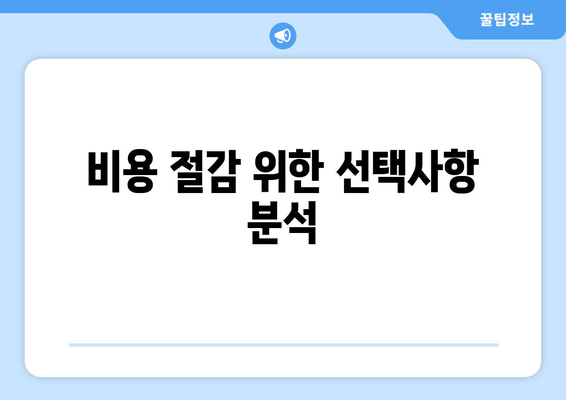 비용 절감 위한 선택사항 분석