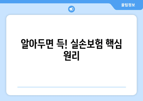 알아두면 득! 실손보험 핵심 원리