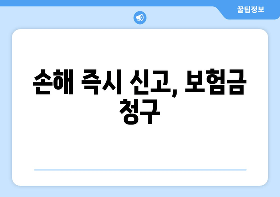 손해 즉시 신고, 보험금 청구