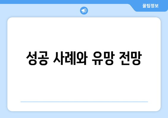 성공 사례와 유망 전망