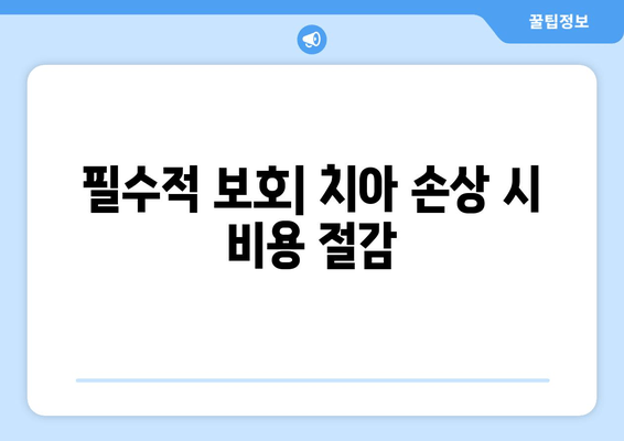 필수적 보호| 치아 손상 시 비용 절감