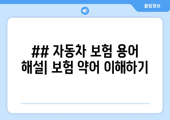 ## 자동차 보험 용어 해설| 보험 약어 이해하기