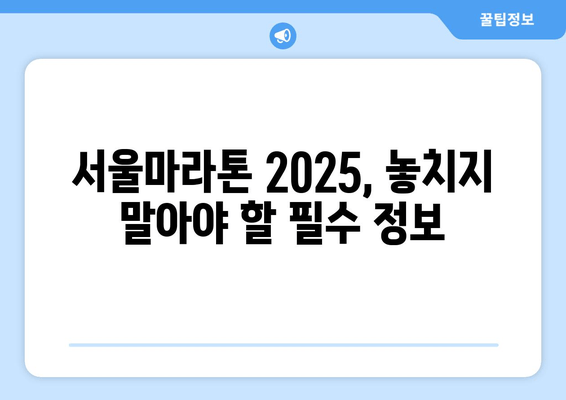 서울마라톤 2025 완벽 접수 가이드| 일정, 패키지, 풀코스 정보 총정리 | 마라톤, 참가신청, 준비 팁