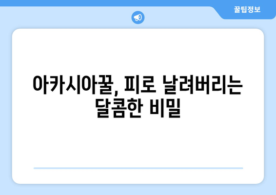 아카시아꿀| 피로 회복 효과, 직접 먹어본 후기 | 천연 피로 회복, 건강, 꿀 효능