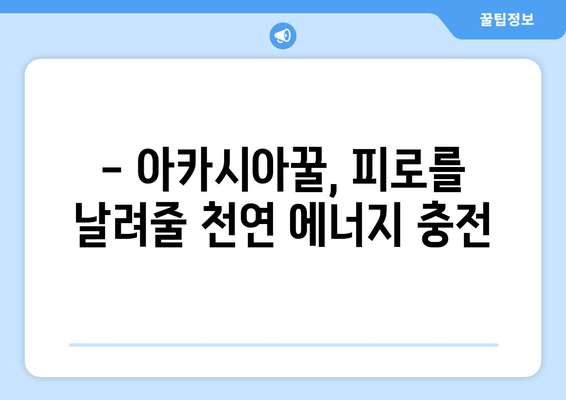 천연 피로회복제 | 아카시아꿀의 놀라운 효과와 섭취 방법