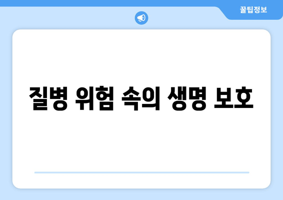 질병 위험 속의 생명 보호