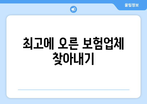 최고에 오른 보험업체 찾아내기