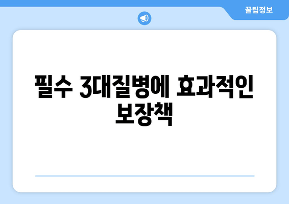 필수 3대질병에 효과적인 보장책