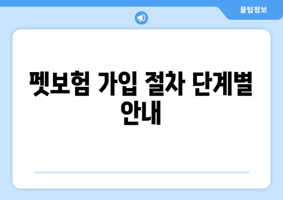 펫보험 가입 절차 단계별 안내