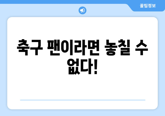 축구 팬이라면 놓칠 수 없다!