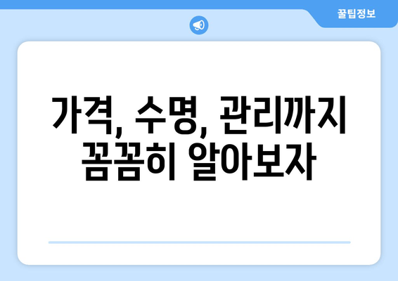 인공 치아 vs 임플란트| 나에게 맞는 선택은? | 장단점 비교, 가격, 수명, 관리까지 완벽 분석