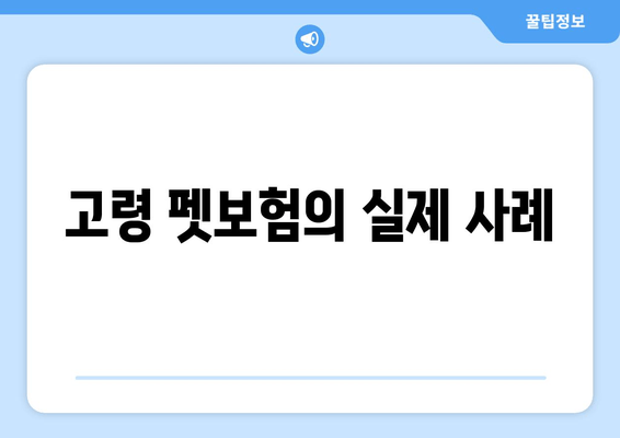 고령 펫보험의 실제 사례