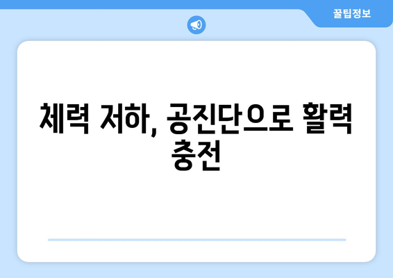 공진단 효능과 효과 완벽 가이드 | 건강, 면역력, 피로 회복,  체력 증진