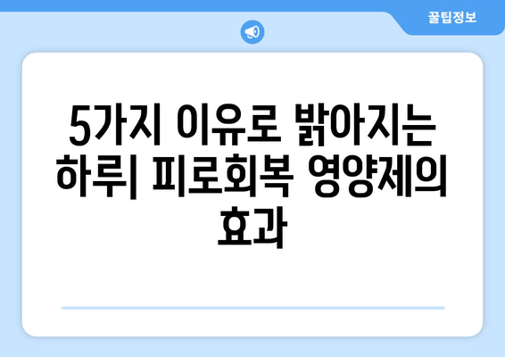 피로회복 영양제 인기 비결| 효과적인 5가지 이유 | 피로, 영양제, 건강, 에너지