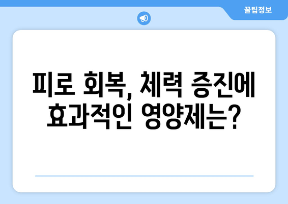 육체 피로 날리는 5가지 영양제 추천 | 피로 회복, 체력 증진, 건강 관리