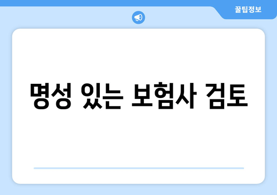 명성 있는 보험사 검토