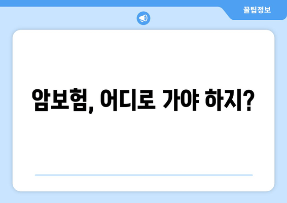 암보험, 어디로 가야 하지?