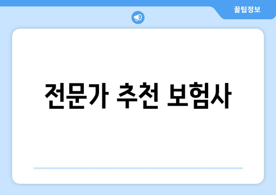 전문가 추천 보험사