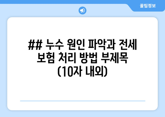 ## 누수 원인 파악과 전세 보험 처리 방법 부제목 (10자 내외)