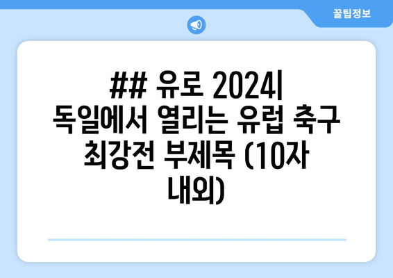 ## 유로 2024| 독일에서 열리는 유럽 축구 최강전 부제목 (10자 내외)