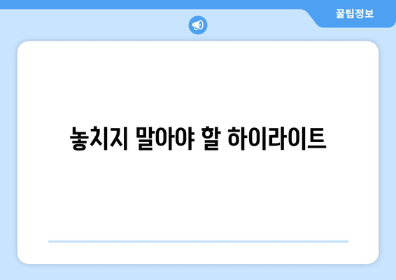 놓치지 말아야 할 하이라이트