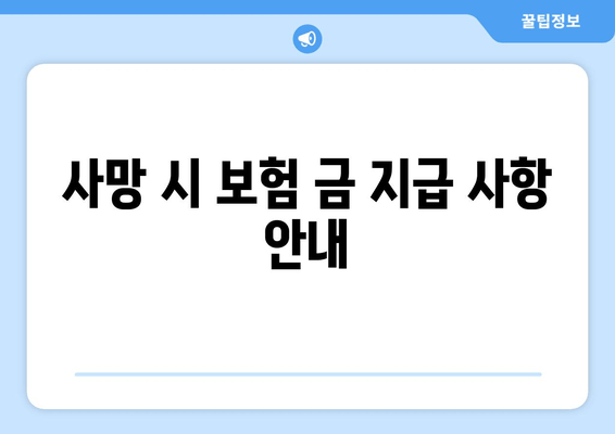 사망 시 보험 금 지급 사항 안내