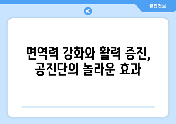 공진단 효능과 효과| 전통 보약의 힘 | 건강, 피로회복, 면역력, 체력 증진, 궁극의 선택