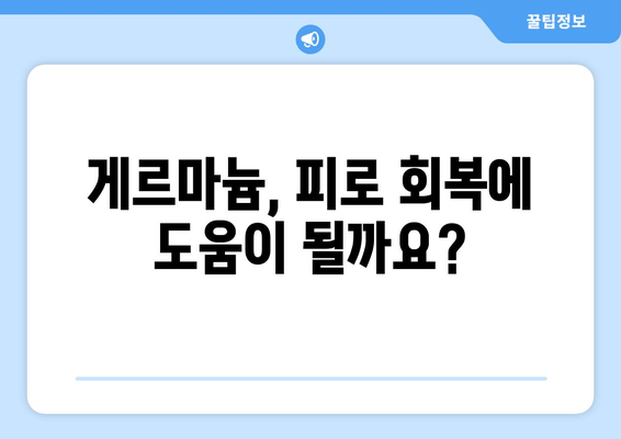 게르마늄 함유 의류, 피로와 운동 능력에 어떤 영향을 미칠까? | 게르마늄, 피로 회복, 운동 효과, 의류