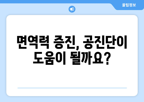 공진단 효능과 효과, 제대로 알고 드세요! | 건강, 면역력, 피로회복, 원기 회복,  궁금증 해결