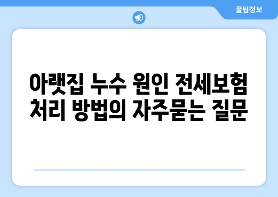 아랫집 누수 원인 전세보험 처리 방법