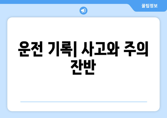 운전 기록| 사고와 주의 잔반