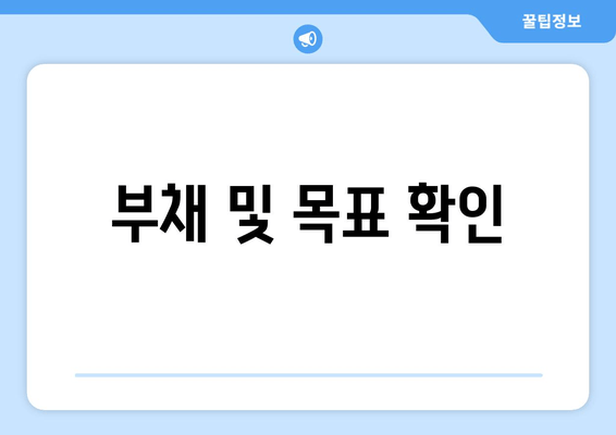 부채 및 목표 확인