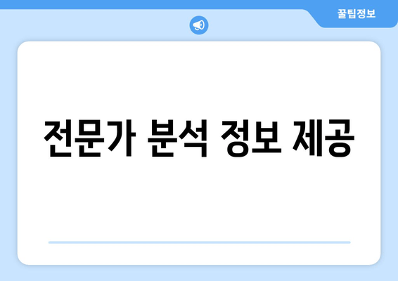 전문가 분석 정보 제공