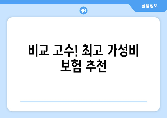 비교 고수! 최고 가성비 보험 추천