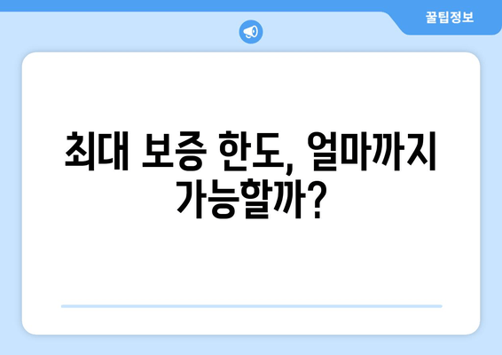 최대 보증 한도, 얼마까지 가능할까?