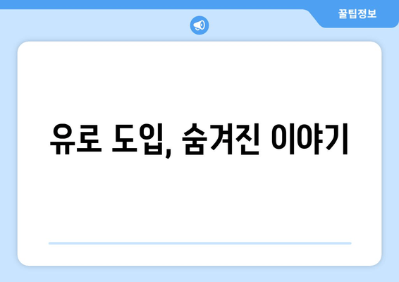 유로 도입, 숨겨진 이야기