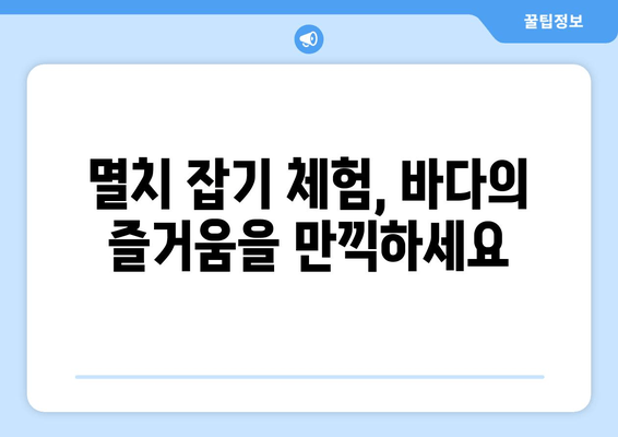 바다의 날 기념 마라톤 참가 가이드| 멸치 잡기부터 주차까지 | 마라톤, 바다의 날, 멸치잡기, 주차 정보