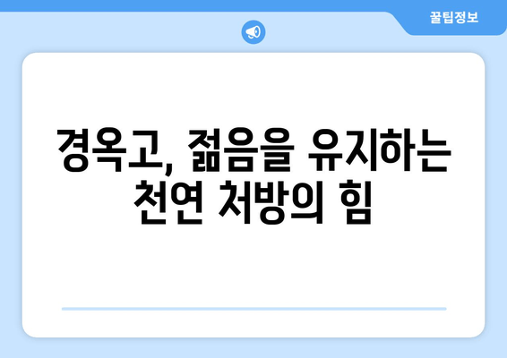 경옥고, 가격과 효능 그리고 맑고 젊은 피부의 비밀 | 피부 건강을 위한 천연 처방